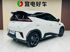 BYD Seagull smart driving version 305km free version - фото 5