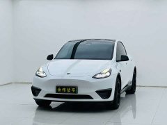 Tesla Model Y Edition - фото 1