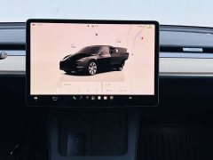 Tesla Model Y Edition - фото 10