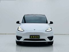 Tesla Model Y Edition - фото 2