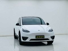 Tesla Model Y Edition - фото 3