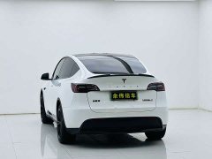 Tesla Model Y Edition - фото 5