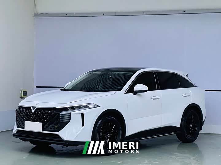 V 260T Edition - автомобиль из Китая