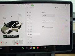 Tesla Model 3 PerformancePerformance Edition - фото 18