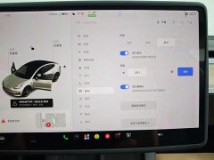 Tesla Model 3 PerformancePerformance Edition - фото 19