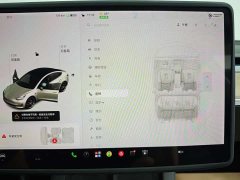 Tesla Model 3 PerformancePerformance Edition - фото 20