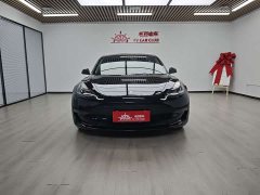 Tesla Model 3 PerformancePerformance Edition - фото 3