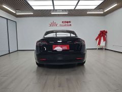 Tesla Model 3 PerformancePerformance Edition - фото 6