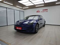 Tesla Model 3 Edition - фото 1