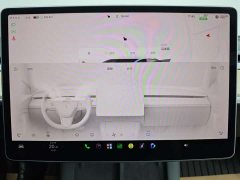 Tesla Model 3 Edition - фото 12