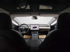 Tesla Model 3 Edition - фото 13