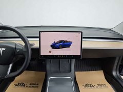 Tesla Model 3 Edition - фото 16
