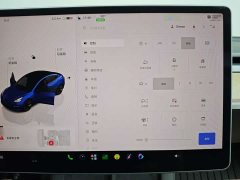 Tesla Model 3 Edition - фото 8