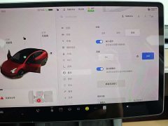 Tesla Model 3 Standard Range Edition - фото 14