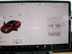 Tesla Model 3 Standard Range Edition - фото 15