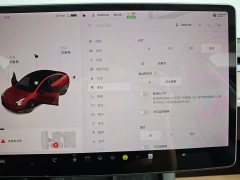 Tesla Model 3 Standard Range Edition - фото 16