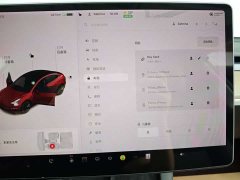 Tesla Model 3 Standard Range Edition - фото 17