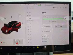 Tesla Model 3 Standard Range Edition - фото 18