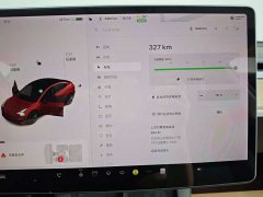 Tesla Model 3 Standard Range Edition - фото 19