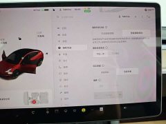 Tesla Model 3 Standard Range Edition - фото 20