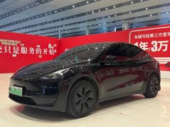 Tesla Model Y 2023 rear-wheel drive version - фото 1