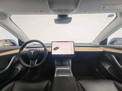 Tesla Model 3 Standard Range Edition - фото 12