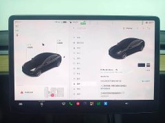 Tesla Model 3 Standard Range Edition - фото 16