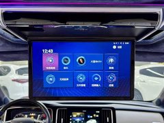 Trumpchi M8 Lead Show Series 390T Exclusive Edition - фото 8