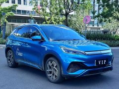 BYD PLUS 550Pro Edition - фото 3