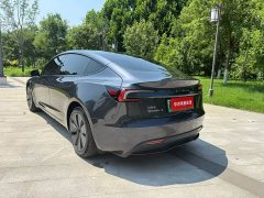 Tesla Model 3 Edition - фото 3