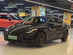Tesla Model 3 PerformancePerformance Edition - фото 1