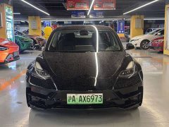 Tesla Model 3 PerformancePerformance Edition - фото 2