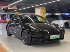Tesla Model 3 PerformancePerformance Edition - фото 3