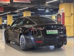 Tesla Model 3 PerformancePerformance Edition - фото 6