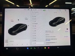Tesla Model 3 PerformancePerformance Edition - фото 9