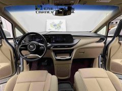 Buick GL8 New Energy Lu Shang Early Edition - фото 9