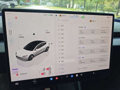 Tesla Model 3 rear-wheel drive version - фото 14