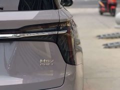 Hongqi HS7 PHEV 2.0T PHEV AWD Edition 6 - фото 13