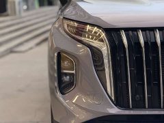 Hongqi HS7 PHEV 2.0T PHEV AWD Edition 6 - фото 5