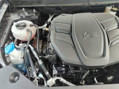 Hongqi HS5 2.0T 2WDPro Edition - фото 20