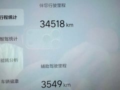 Li Auto Ideal L7 Max smart refresh version - фото 18