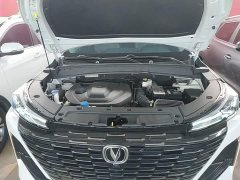 Changan CS55PLUS 1.5T DCTPremium Version - фото 20