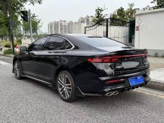 2.0TD Luxury Version - фото 6