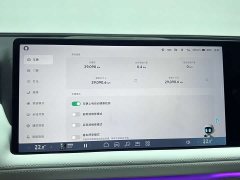 Xpeng G9 702 Max - фото 20