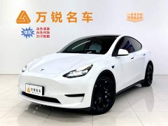 Tesla Model Y Edition - фото 1