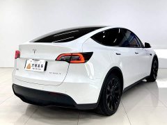 Tesla Model Y Edition - фото 3