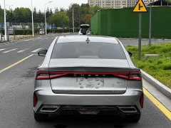 Chery 8 1.6T DCT - фото 12