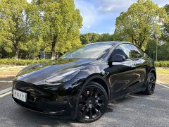 Tesla Model Y Long Range Edition - фото 1