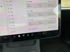 Tesla Model Y Long Range Edition - фото 12