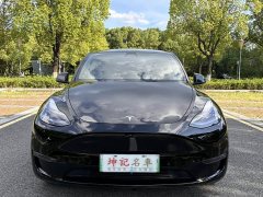 Tesla Model Y Long Range Edition - фото 2